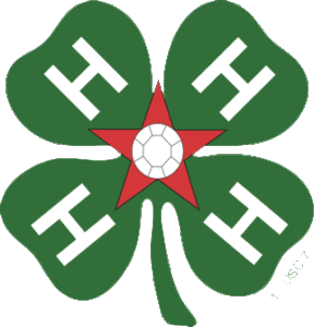 4-H All Stars Logo