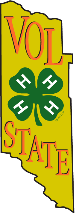 4-H Vol State