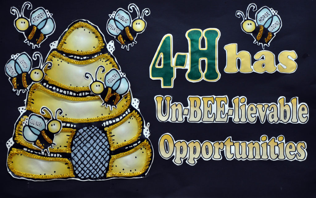 4-H Has Un-BEE-lievable Opportunities