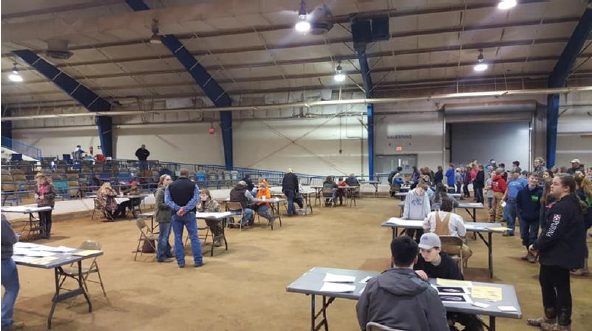 2019 Tennessee State Junior Swine Show