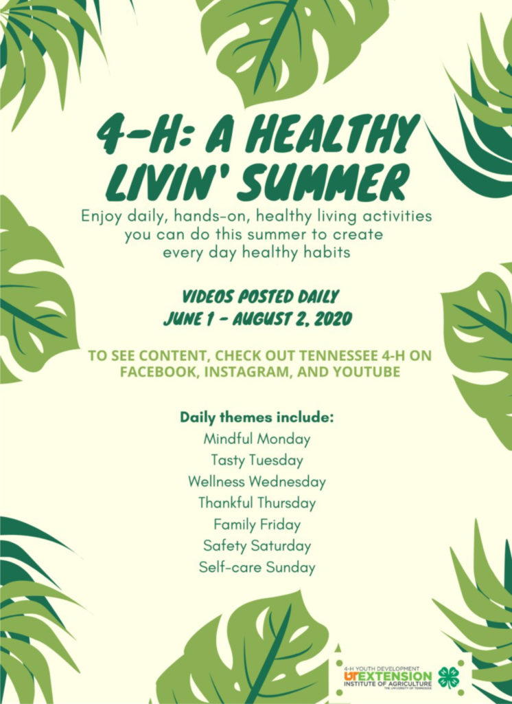 4-H: A Healthy Livin' Summer