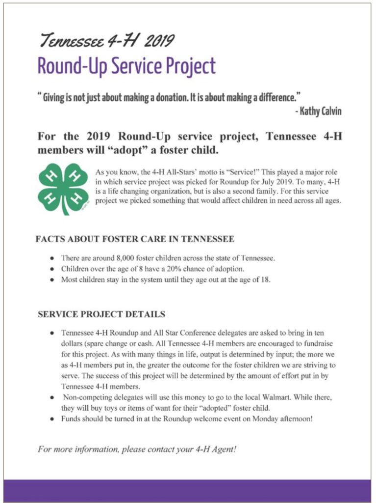 4-H Roundup Service Project