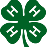 4-H 4 Leaf Clover