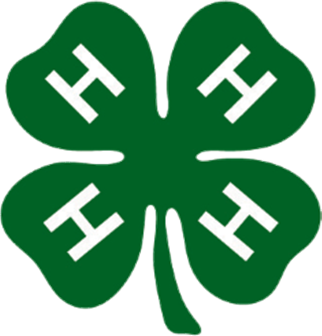 4-H 4 Leaf Clover