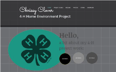 Chrissy Clover - 4-H Home Environment Project