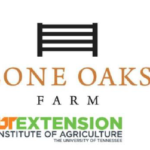 Lone Oak Farm