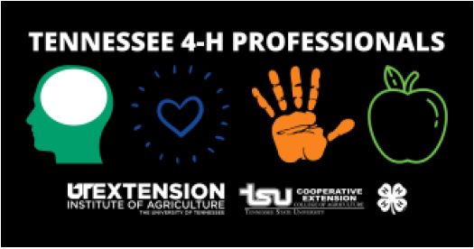 Tennessee 4-H Professionals