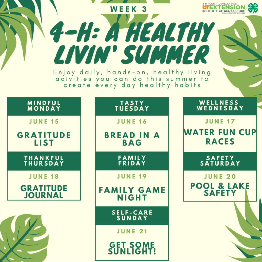 4-H A Healthy Livin' Summer Week 3