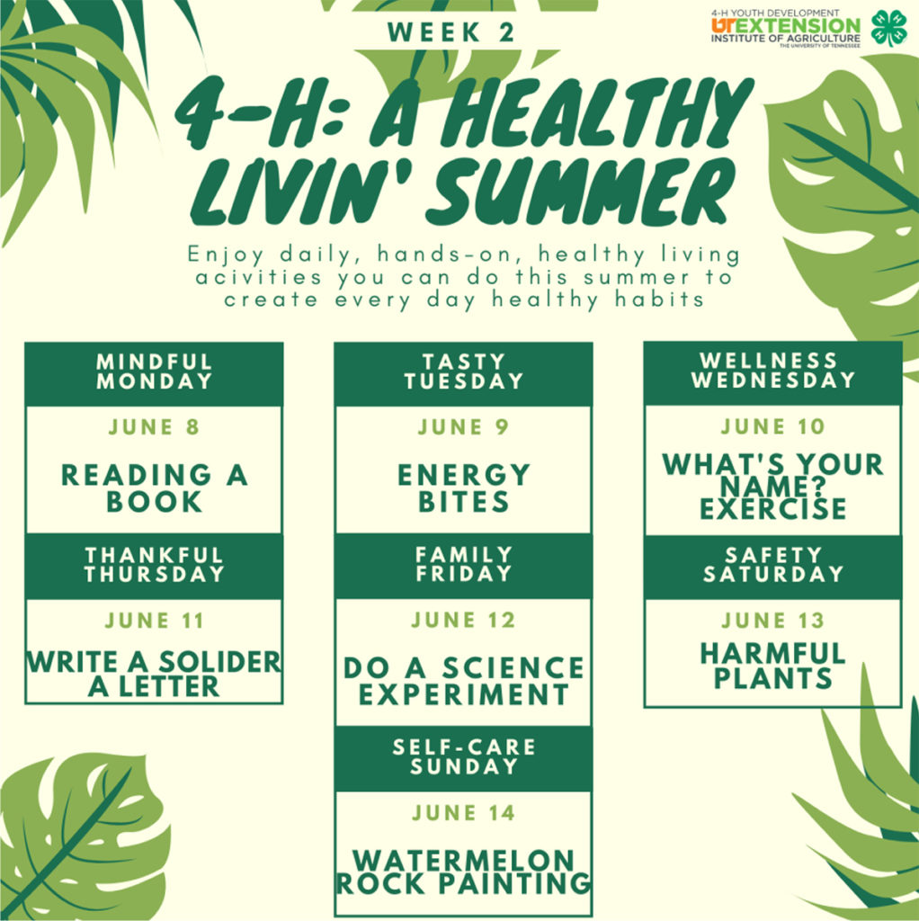 4-H: A Healthy Livin' Summer Week 2