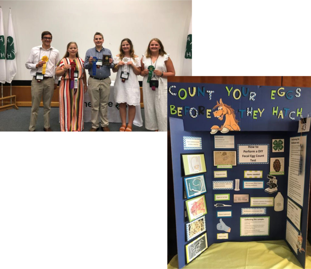 4-H ALL STAR PROJECT EXHIBIT COMPETITION