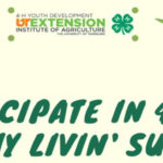 4-H: A Healthy Livin' Summer