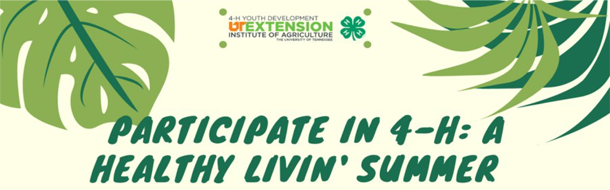 4-H: A Healthy Livin' Summer