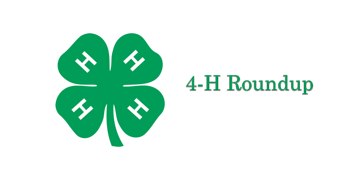 4-H Roundup