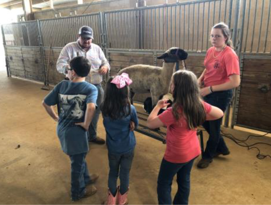 4-H Sheep Conference