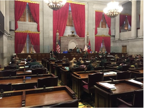 BILLS & RESOLUTION FOR STATE 4-H CONGRESS