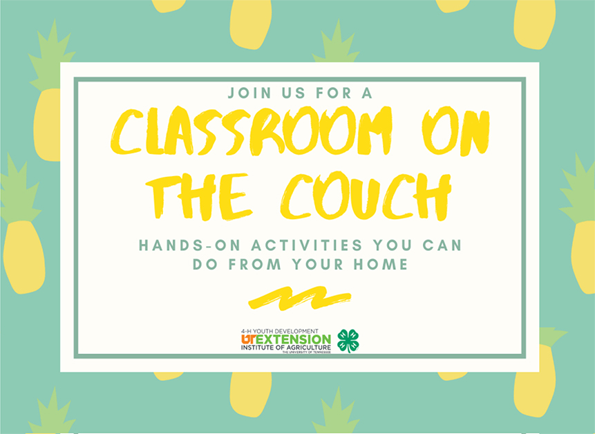 Classroom On The Couch