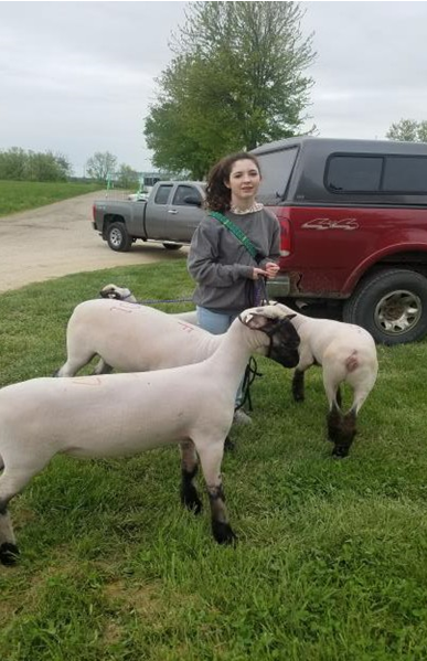 LeeAnn Peterson with her new Shropshire flock