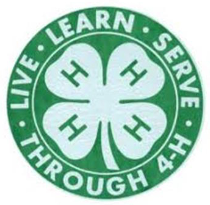 Live Learn Serve Through 4-H