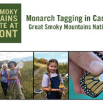 Great Smoky Mountains Institute at Tremont - Monarch Tagging in Cades Cove Great Smoky Mountains National Park
