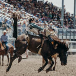 Rodeo