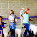 STATE SHEEP CONFERENCE SET FOR MAY 25-26, 2018