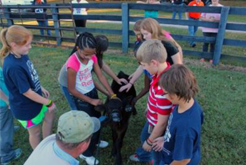 Summer Fun and Education