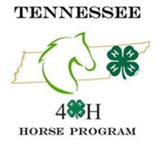 Tennessee 4-H Horse Program