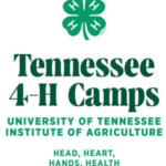 Summer 4-H Camp Top Counties