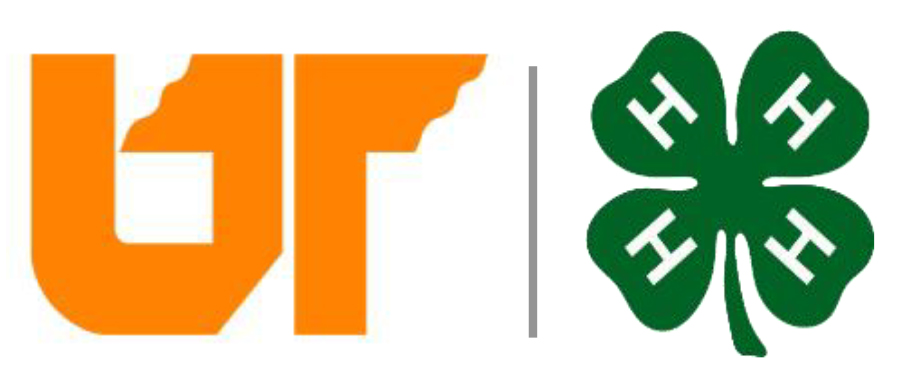 UT 4-H