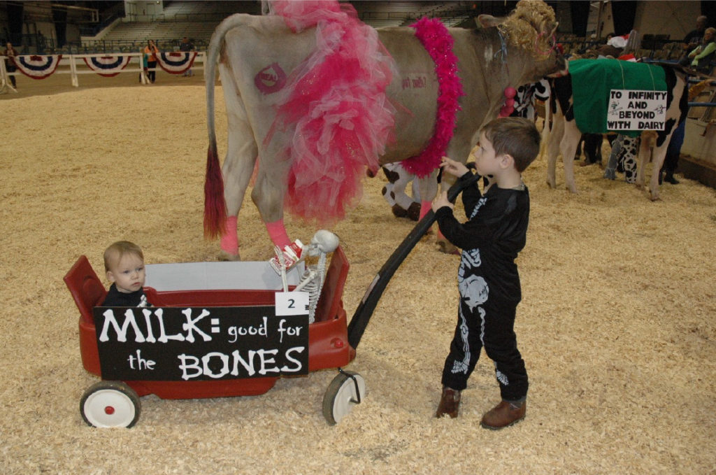 2017 State Dairy Show - Milk and the Bones