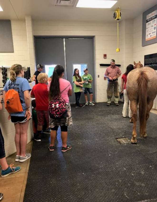 2017 Photo Search - 4H'ers learning about Horses