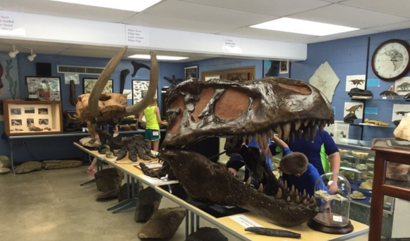 4-H'ers looking a old dinosaur bones