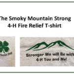 The Smoky Mountain Strong 4-H Fire Relief T-Shirt