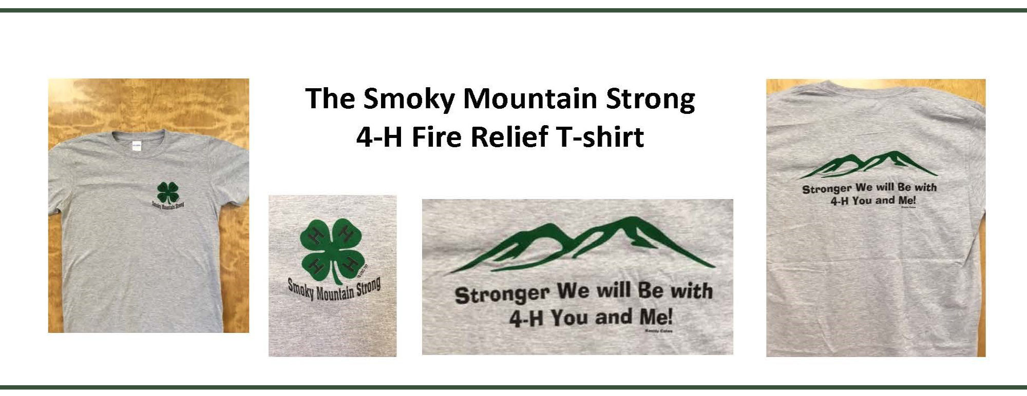 The Smoky Mountain Strong 4-H Fire Relief T-Shirt