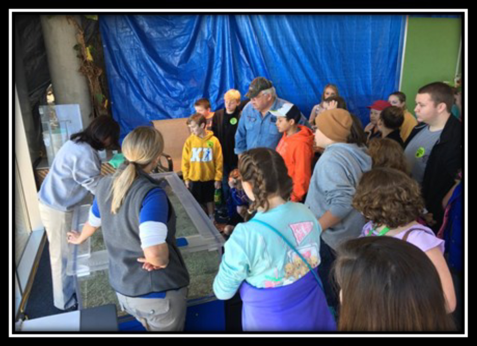 Current Grant Projects: Hardin County [4-H Mentoring Program] - the group traveled to Chattanooga where they toured the Tennessee State Aquarium.