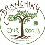 2018 4-H Theme: Branching Out from Our Roots 
