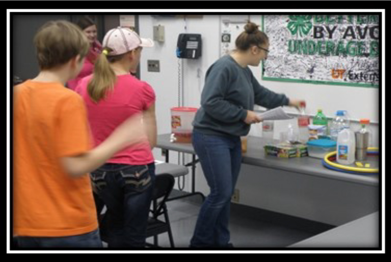 CHESTER COUNTY & THE FOOD SMART FAMILIES PROGRAM - During in-school club meetings, over 1,000 4-H members had the opportunity to make healthy snacks including trail mix and fruit and yogurt parfaits.