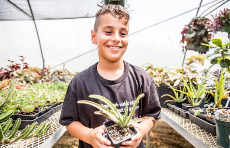 Boy With Potted Plant