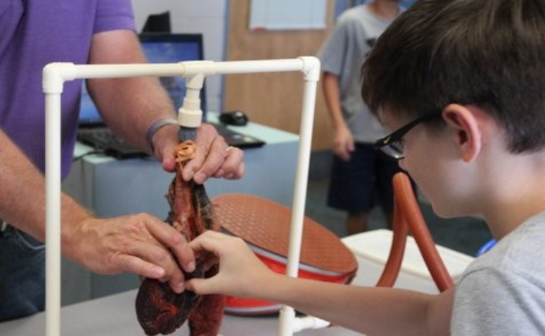 4-H Health Rocks! Produces Positive Results - 4-H'er is working on his project