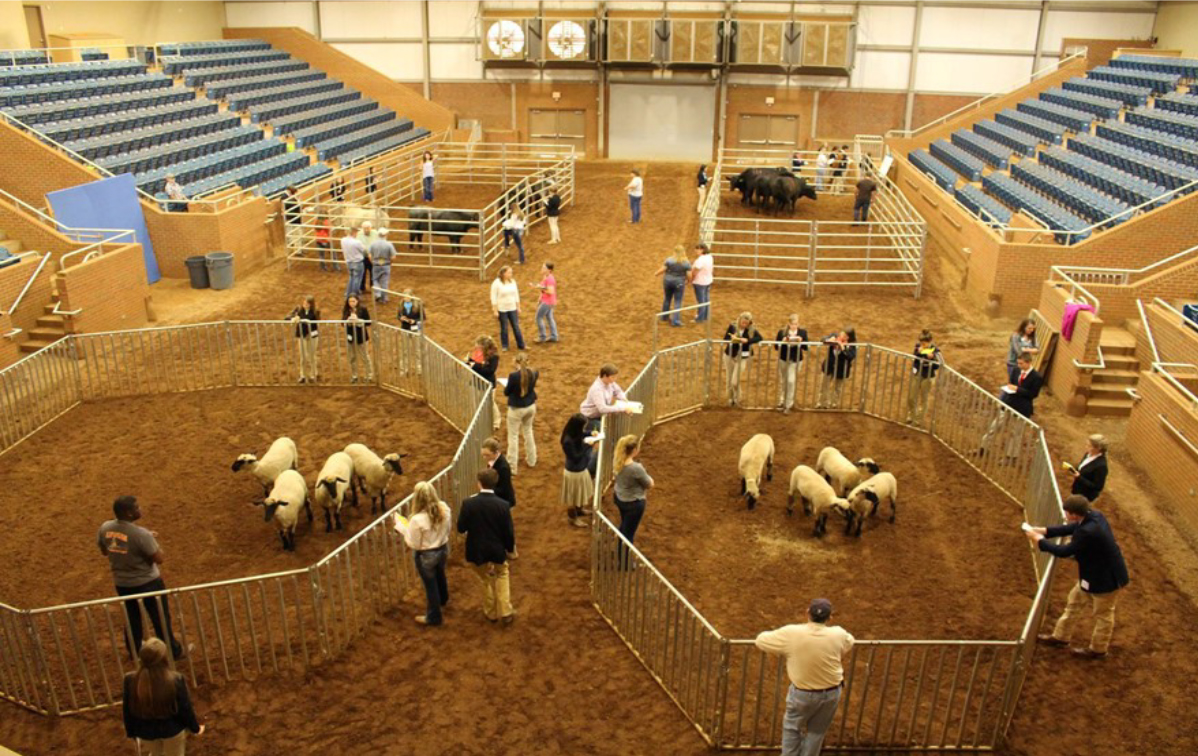 State 4-H Livestock Judging Competition