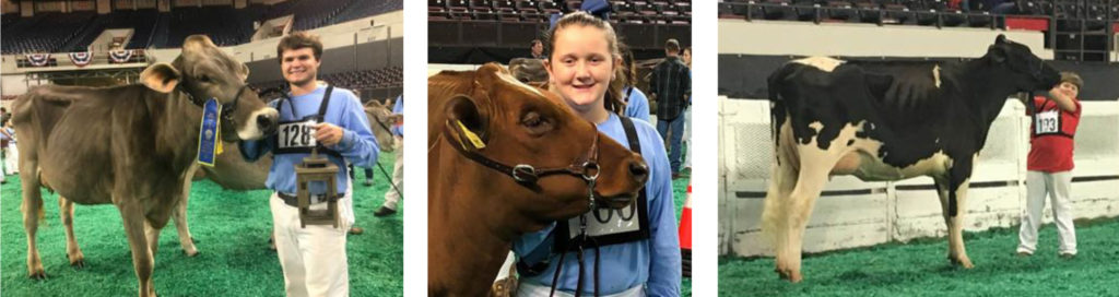 Marshall County 4-H Dairy Members Receive National Honors