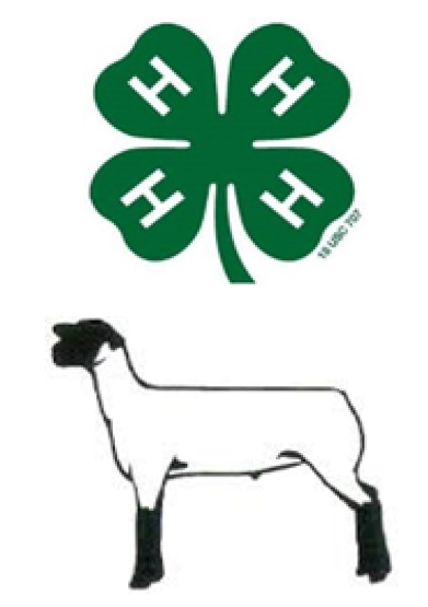 4-H Sheep Conference