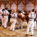 State 4-H Dairy Show