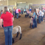 STATE SHEEP CONFERENCE SET FOR MAY 26-27