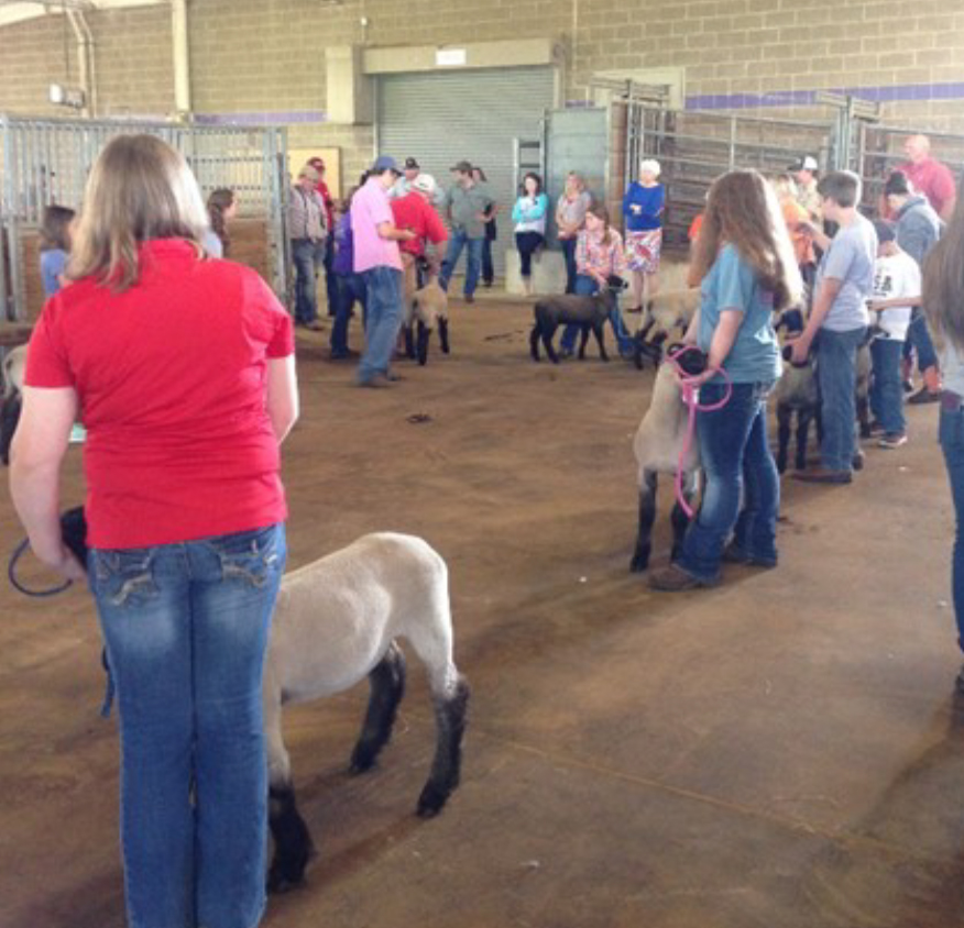 STATE SHEEP CONFERENCE SET FOR MAY 26-27