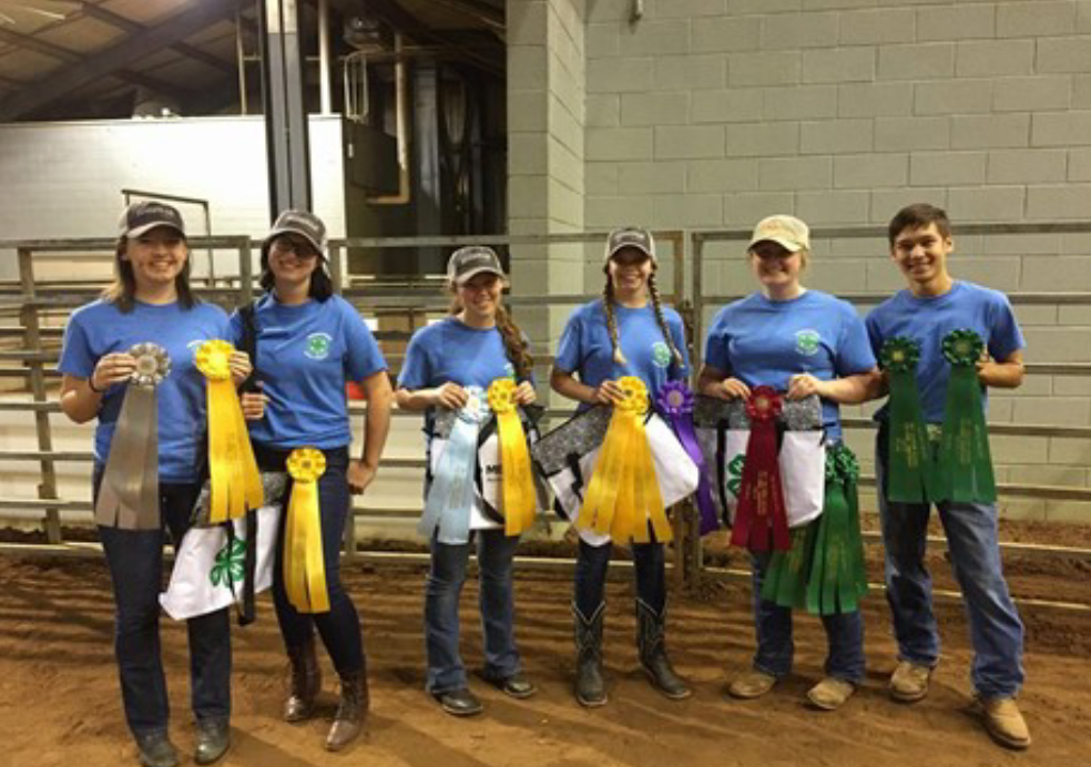Tennessee 4-H Members Excel at Southern Regional Horse Championships - The Blount County horse bowl team took third place in a very tough compe- tition. Team members were Rachel Ot- tinger, Siena Spanyer, Madeline Parr and Jeri McCardel. The Madsion Coun- ty team of Taylor Perry, Katherine Thierfelder, Abby McCalmon and Zach McCarver placed sixth overall. Taylor Perry was second high individual in the contest.