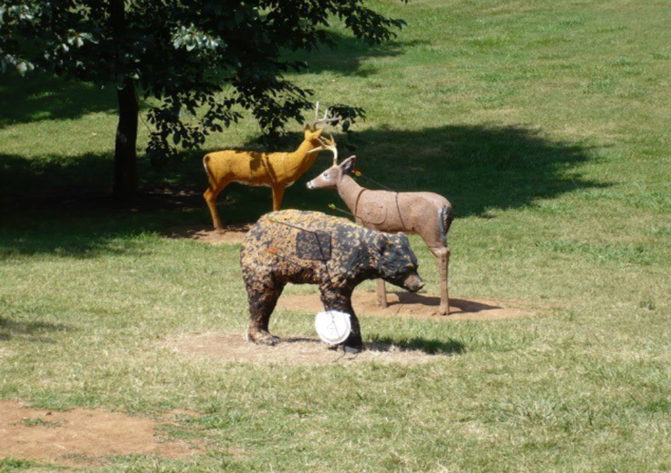 Target Smart Camp: July 4-7 at Ridley in Columbia  - Clay Deer and Bear Shooting Targets