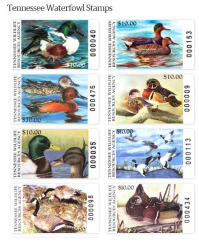 Tennessee Waterfowl Stamps