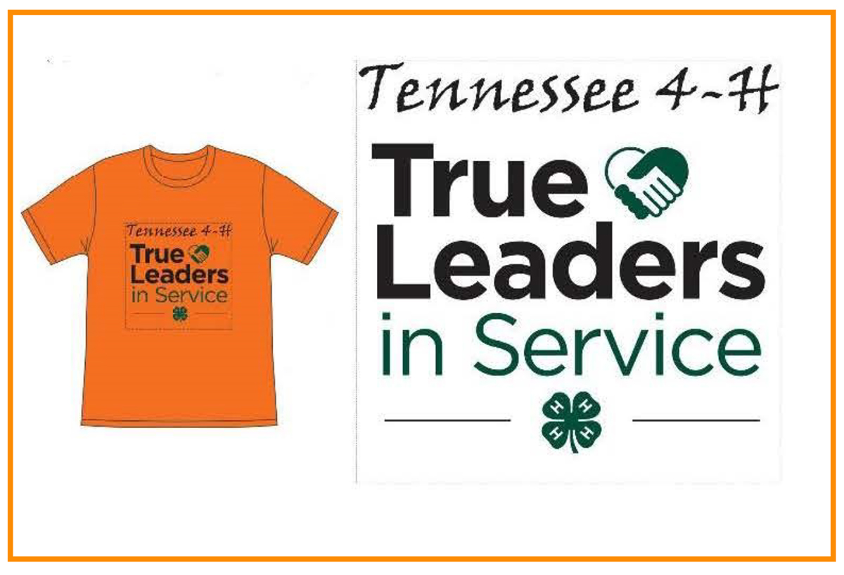 Tennesseee 4-H True Leaders in Service