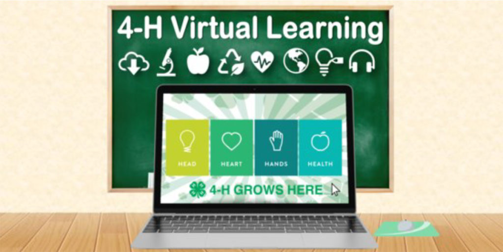 4-H Virtual Learning